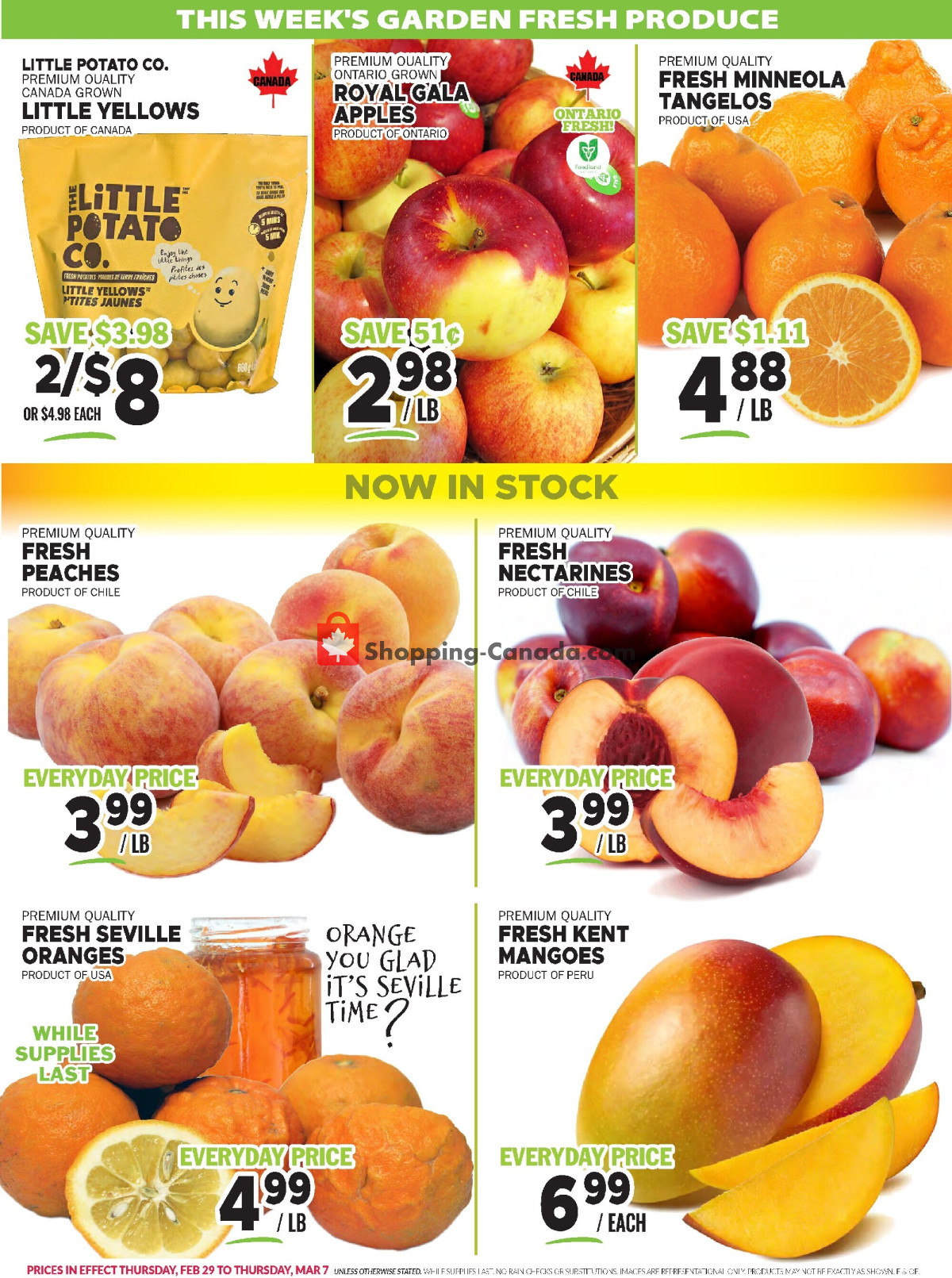 Foodsmiths flyer from Thursday February 29, 2024 to Thursday March 7, 2024 - page 5