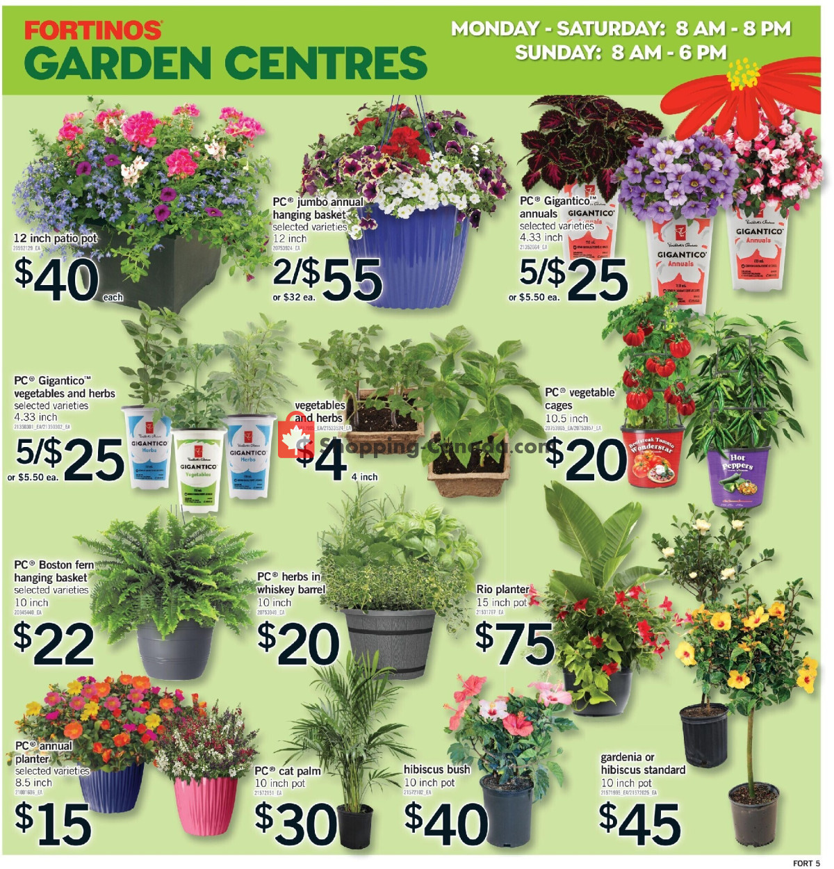 Fortinos flyer from Thursday May 21, 2026 to Wednesday May 27, 2026 - page 22