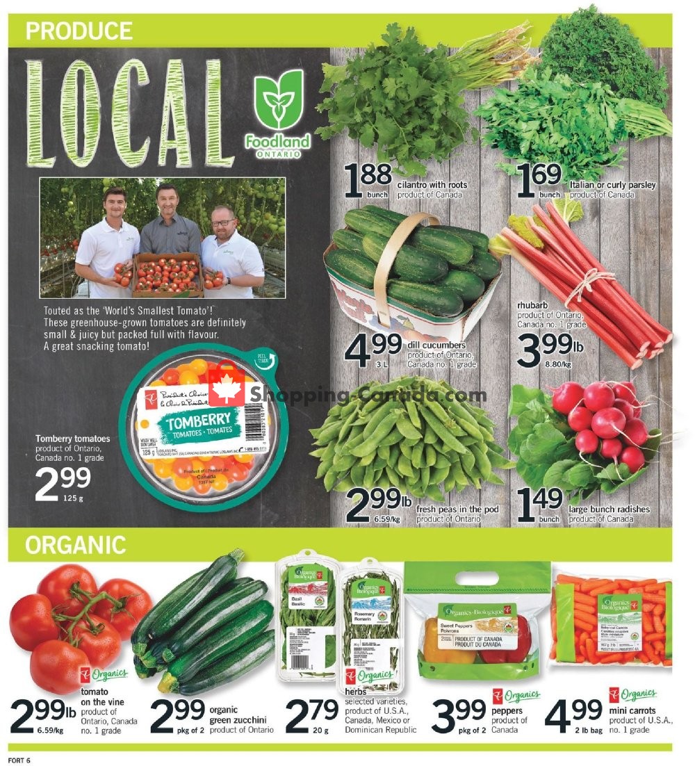 Fortinos flyer from Thursday July 11, 2019 to Wednesday July 17, 2019 - page 7