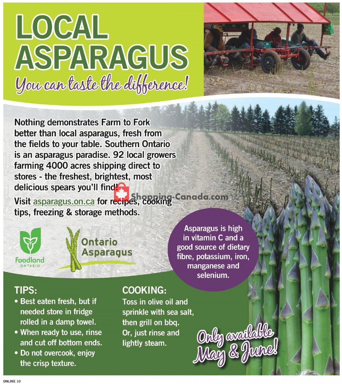 Fortinos flyer from Thursday June 10, 2021 to Wednesday June 16, 2021 - page 15