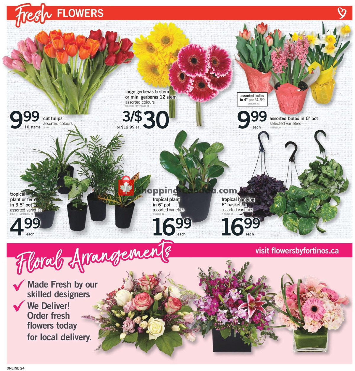 Fortinos flyer from Thursday January 4, 2024 to Wednesday January 10, 2024 - page 23