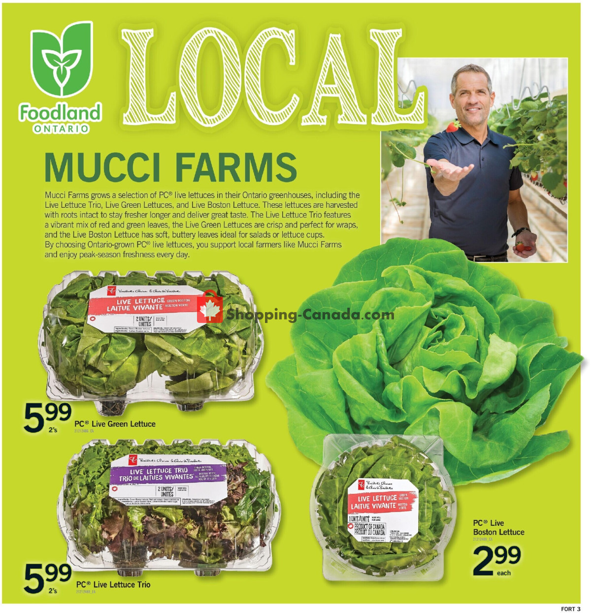 Fortinos flyer from Thursday July 2, 2026 to Wednesday July 8, 2026 - page 4