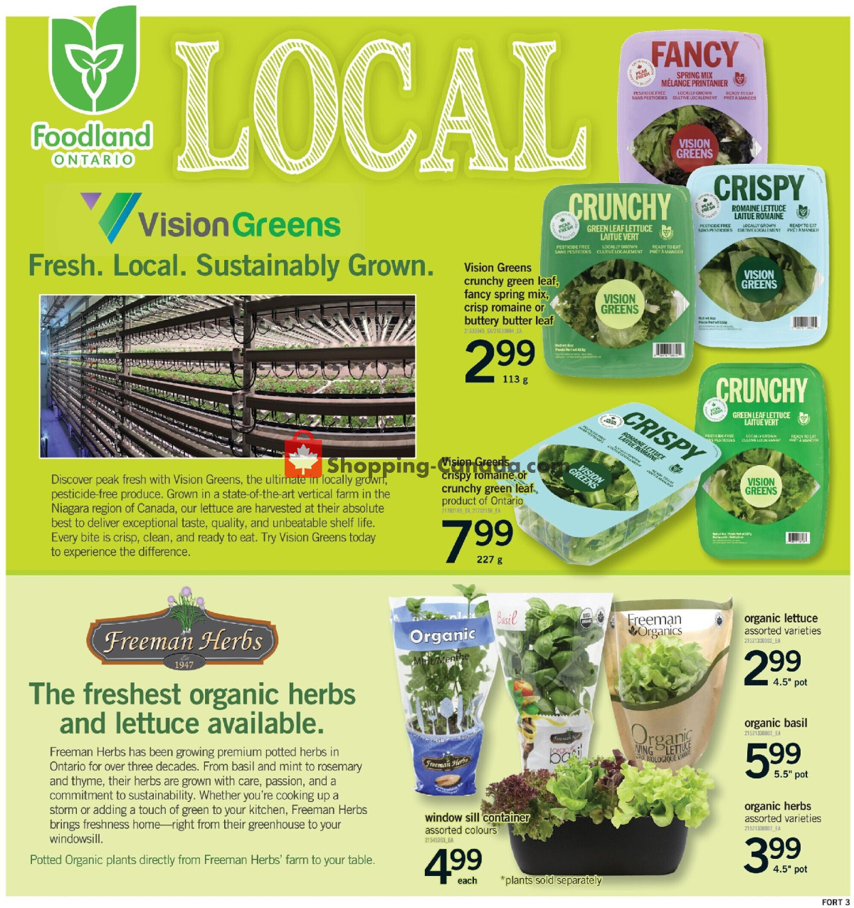 Fortinos flyer from Thursday July 23, 2026 to Wednesday July 29, 2026 - page 4