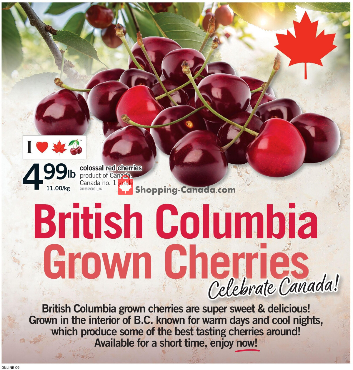 Fortinos flyer from Thursday July 30, 2026 to Wednesday August 5, 2026 - page 10