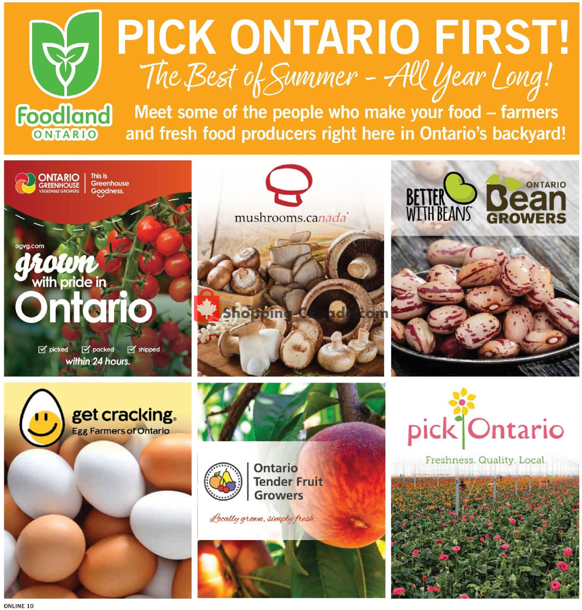 Fortinos flyer from Thursday July 30, 2026 to Wednesday August 5, 2026 - page 11