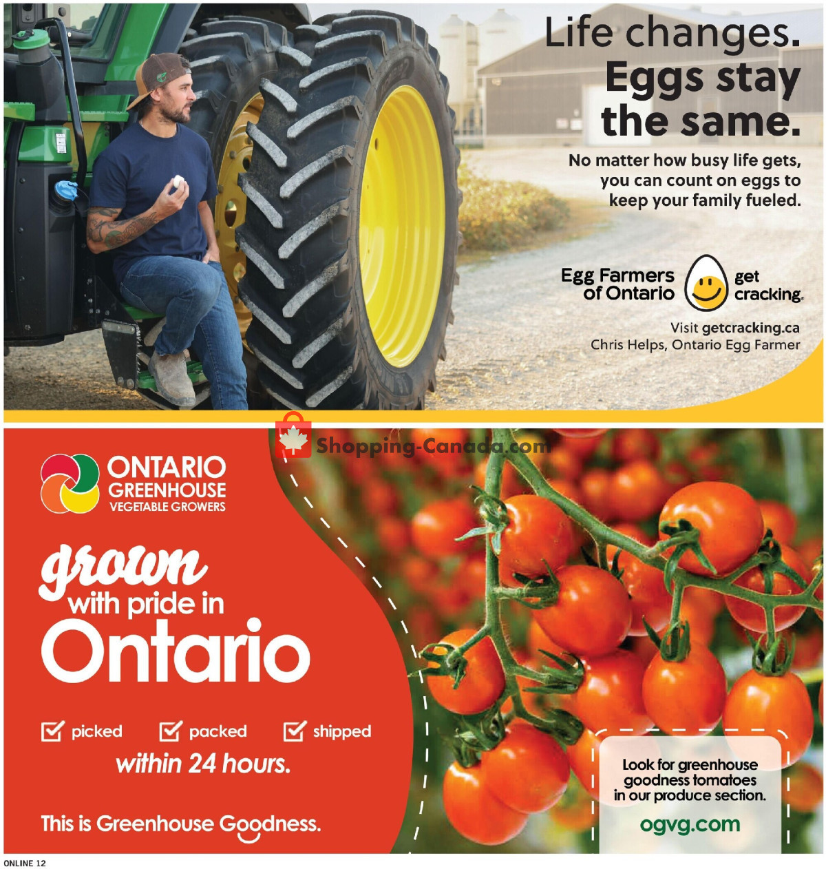 Fortinos flyer from Thursday July 30, 2026 to Wednesday August 5, 2026 - page 13