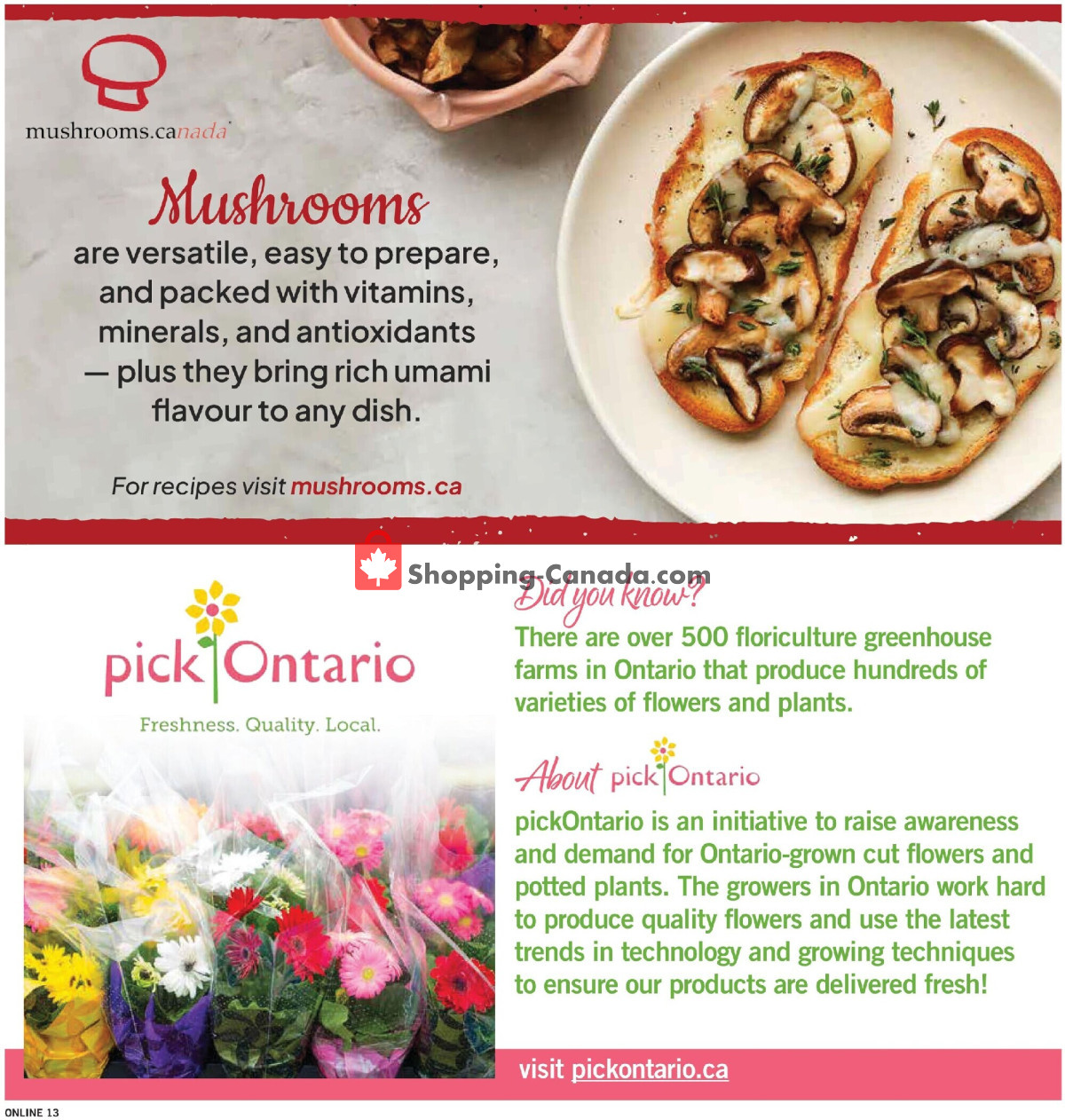 Fortinos flyer from Thursday July 30, 2026 to Wednesday August 5, 2026 - page 14