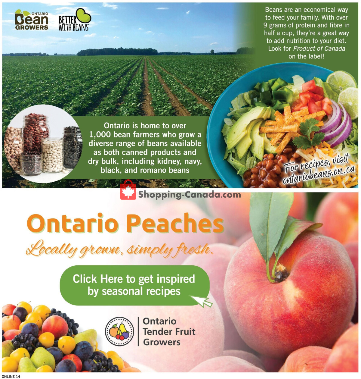 Fortinos flyer from Thursday July 30, 2026 to Wednesday August 5, 2026 - page 15