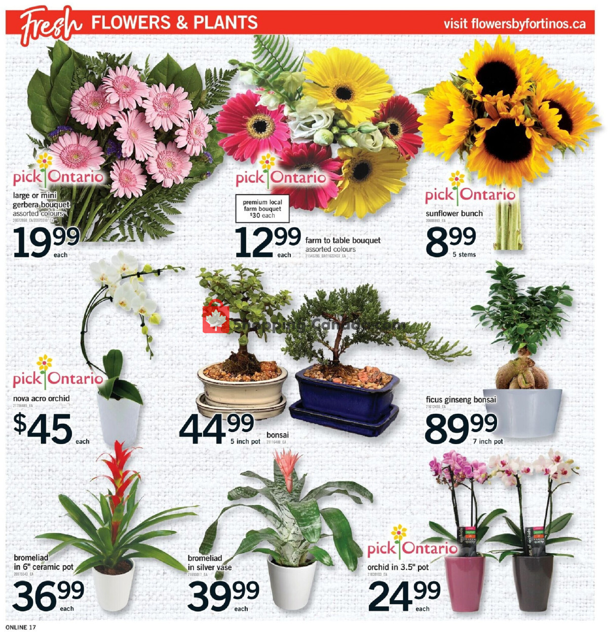 Fortinos flyer from Thursday July 9, 2026 to Wednesday July 15, 2026 - page 17
