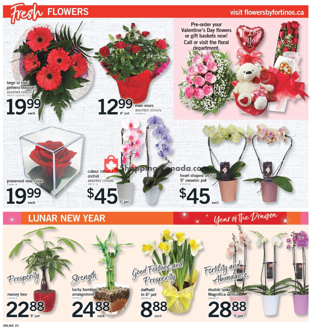 Fortinos flyer from Thursday February 1, 2024 to Wednesday February 7, 2024 - page 19