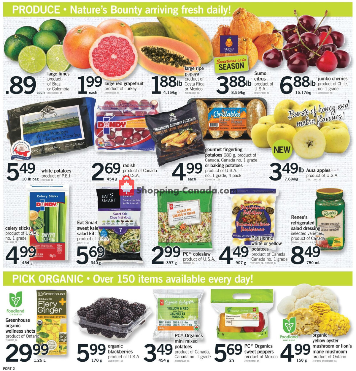 Fortinos flyer from Thursday February 1, 2024 to Wednesday February 7, 2024 - page 3