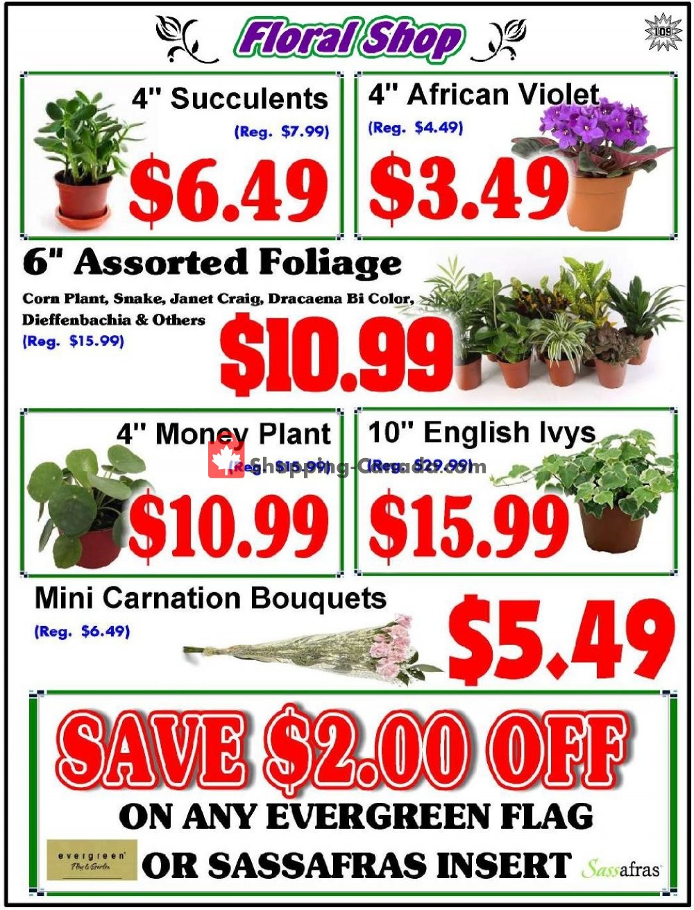 Fredericton Co-op flyer from Friday October 12, 2018 to Thursday October 18, 2018 - page 109