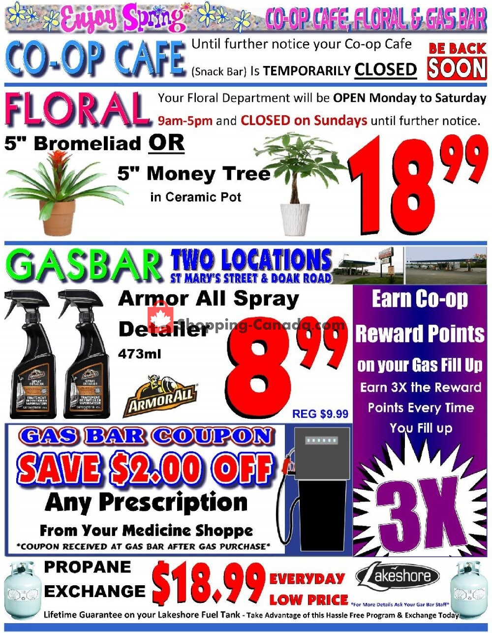 Fredericton Co-op flyer from Thursday June 4, 2020 to Wednesday June 10, 2020 - page 3