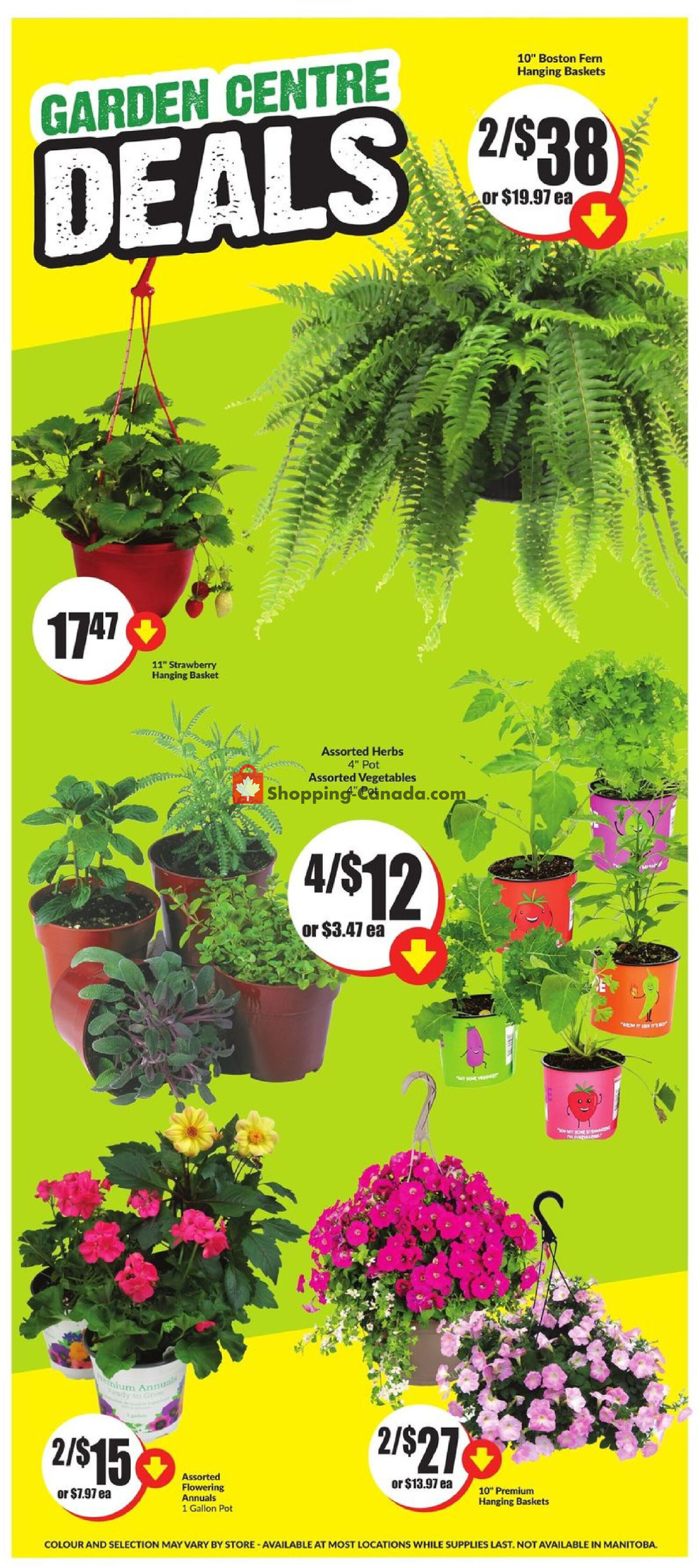 FreshCo flyer from Thursday May 23, 2024 to Wednesday May 29, 2024 - page 5