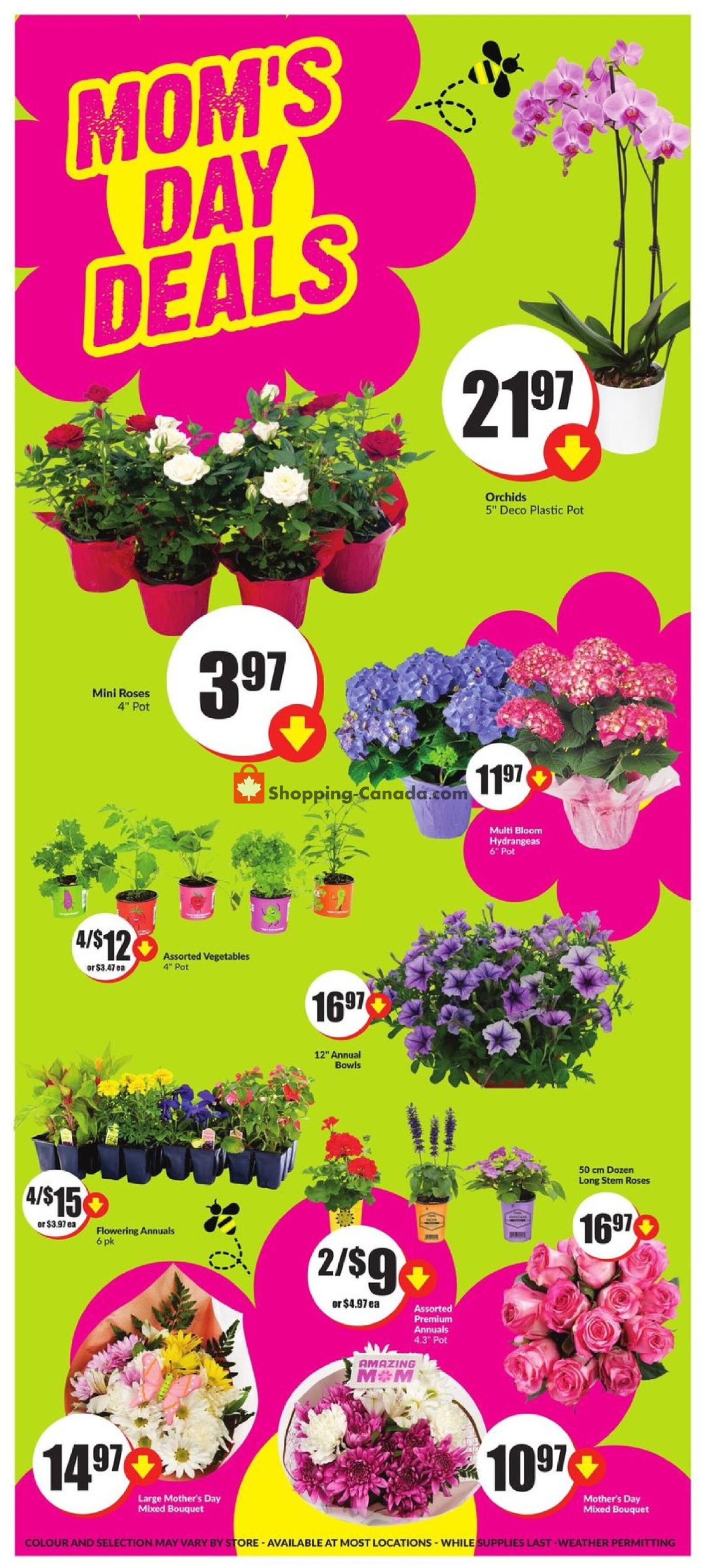 FreshCo flyer from Thursday May 9, 2024 to Wednesday May 15, 2024 - page 6