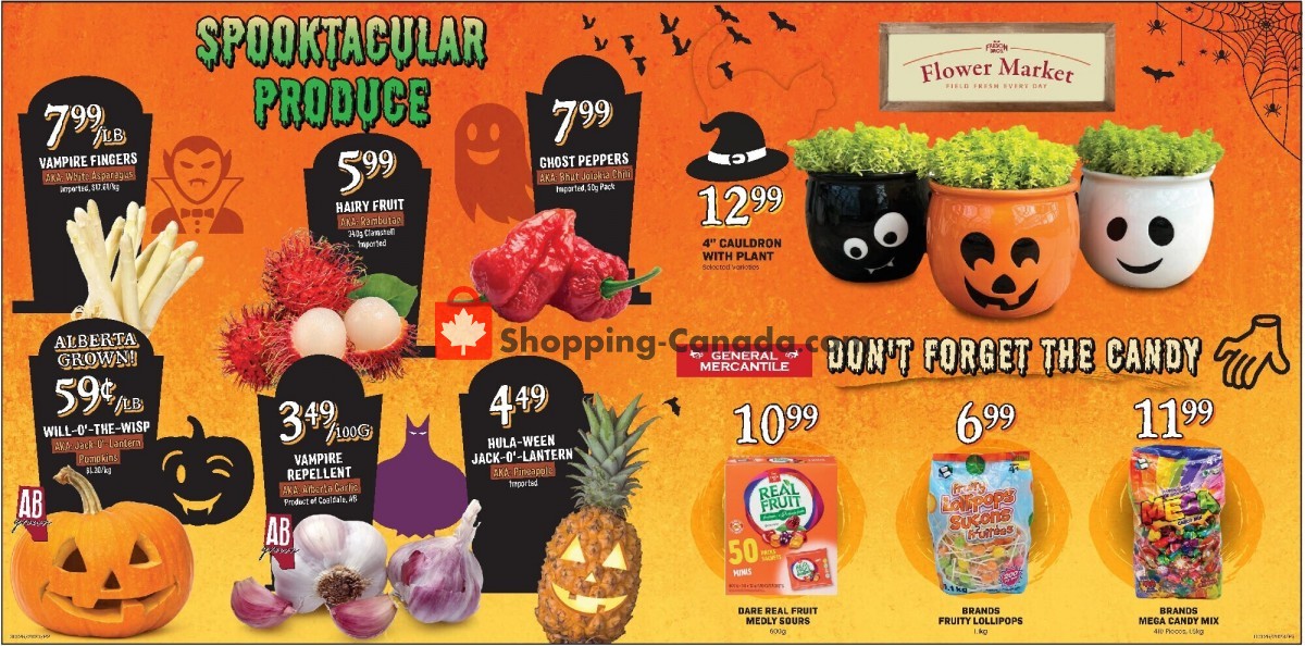 Freson Bros. flyer from Friday October 20, 2023 to Thursday October 26, 2023 - page 2