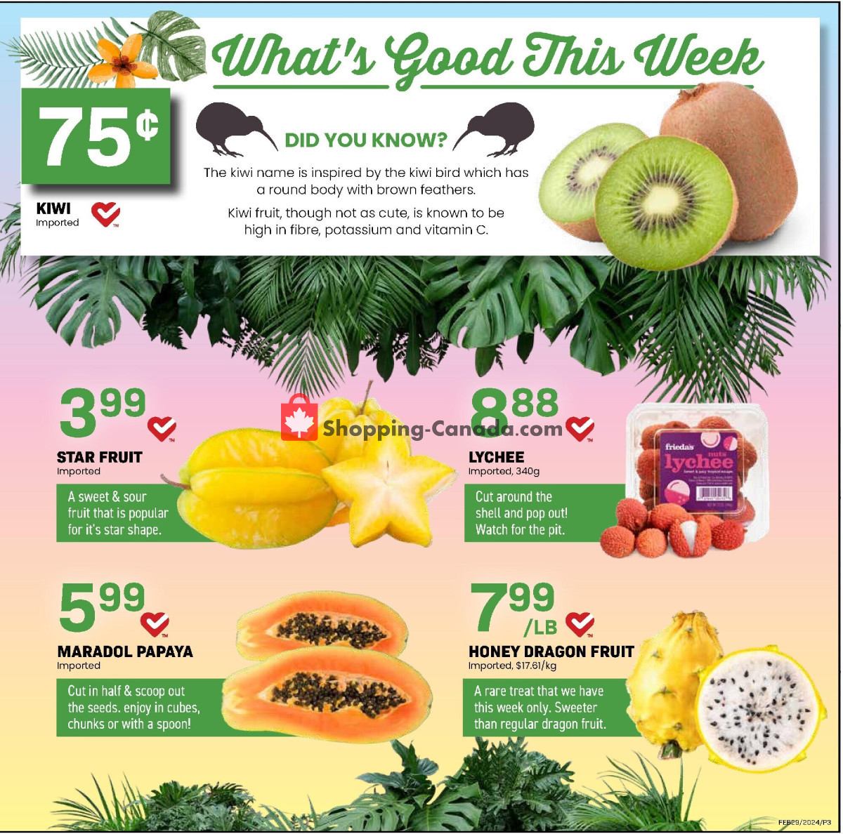 Freson Bros. flyer from Friday February 23, 2024 to Thursday February 29, 2024 - page 3