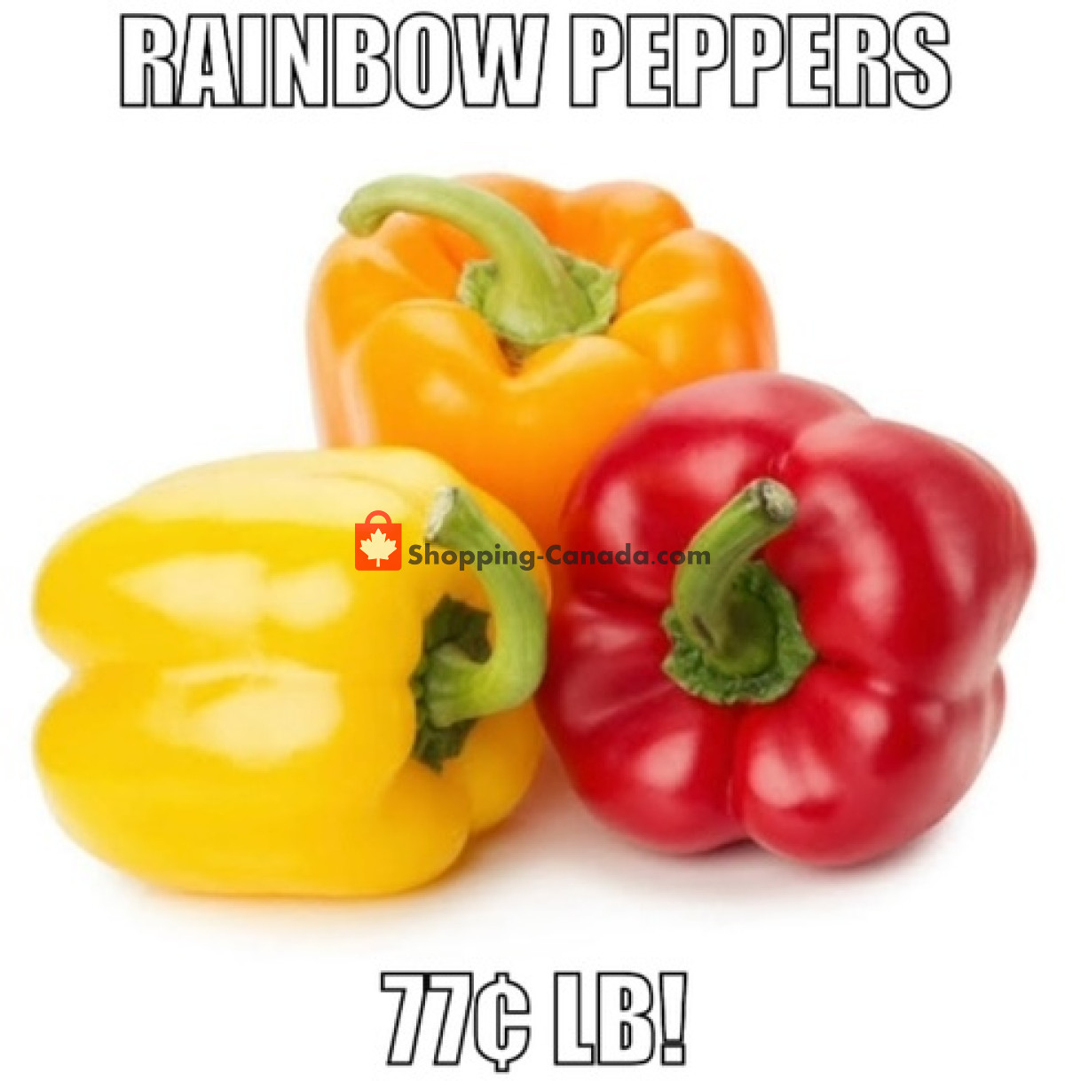 Gateway Meat Market flyer from Wednesday April 17, 2024 to Wednesday April 24, 2024 - page 5