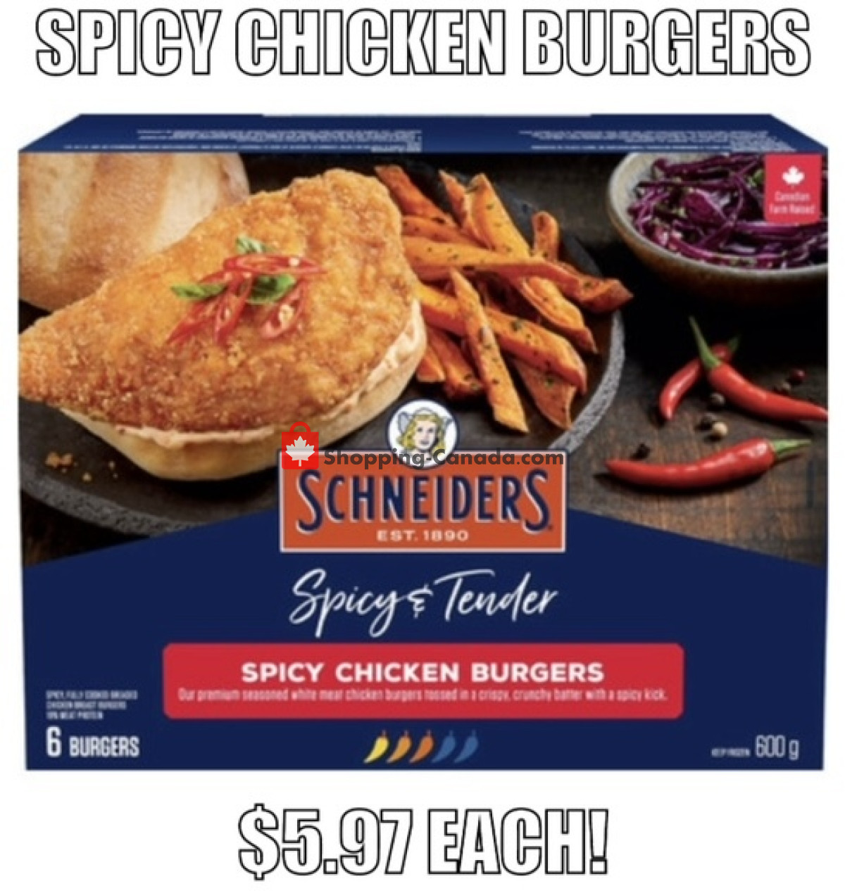 Gateway Meat Market flyer from Thursday March 28, 2024 to Wednesday April 3, 2024 - page 28