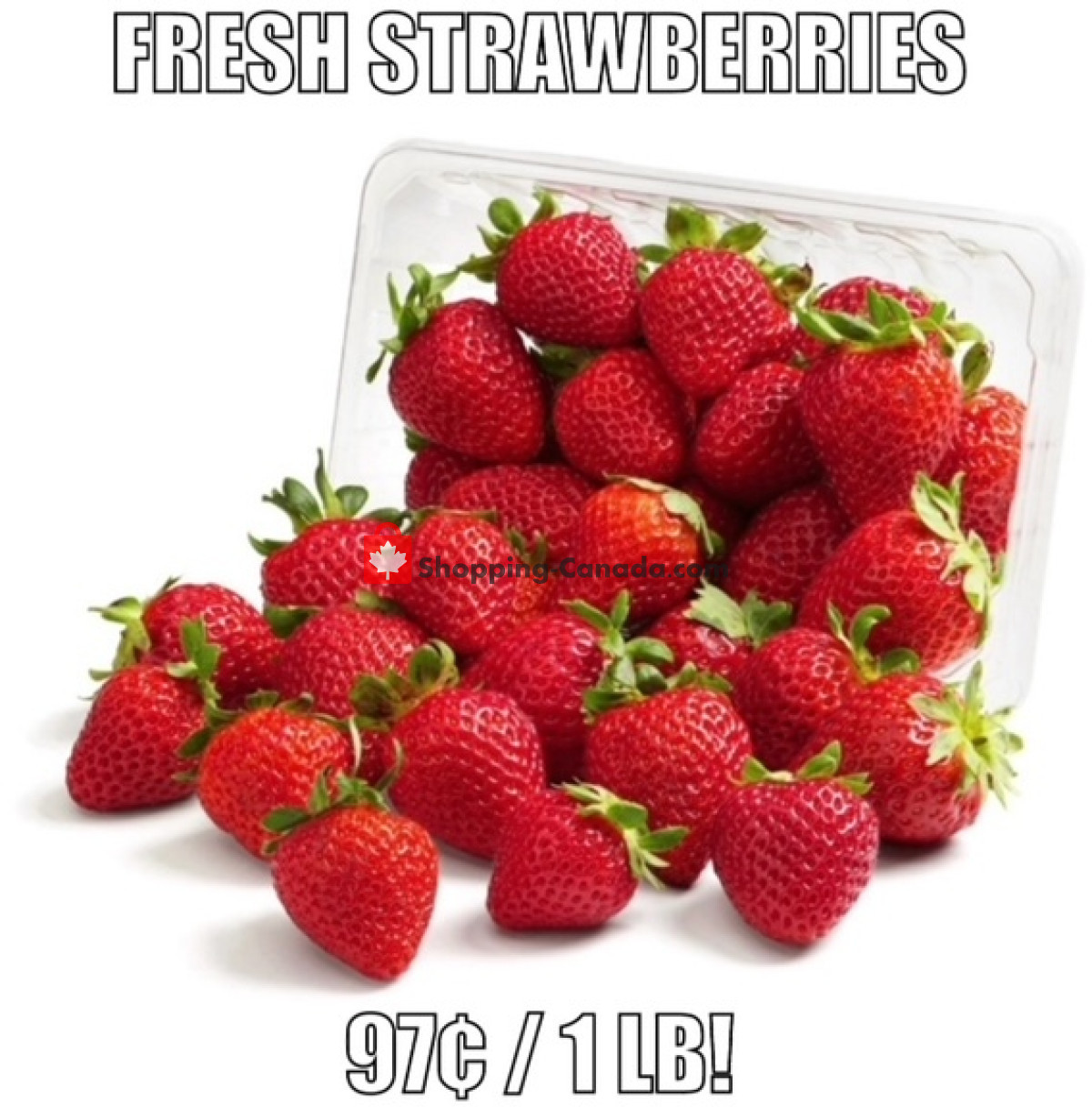 Gateway Meat Market flyer from Thursday May 2, 2024 to Wednesday May 8, 2024 - page 4