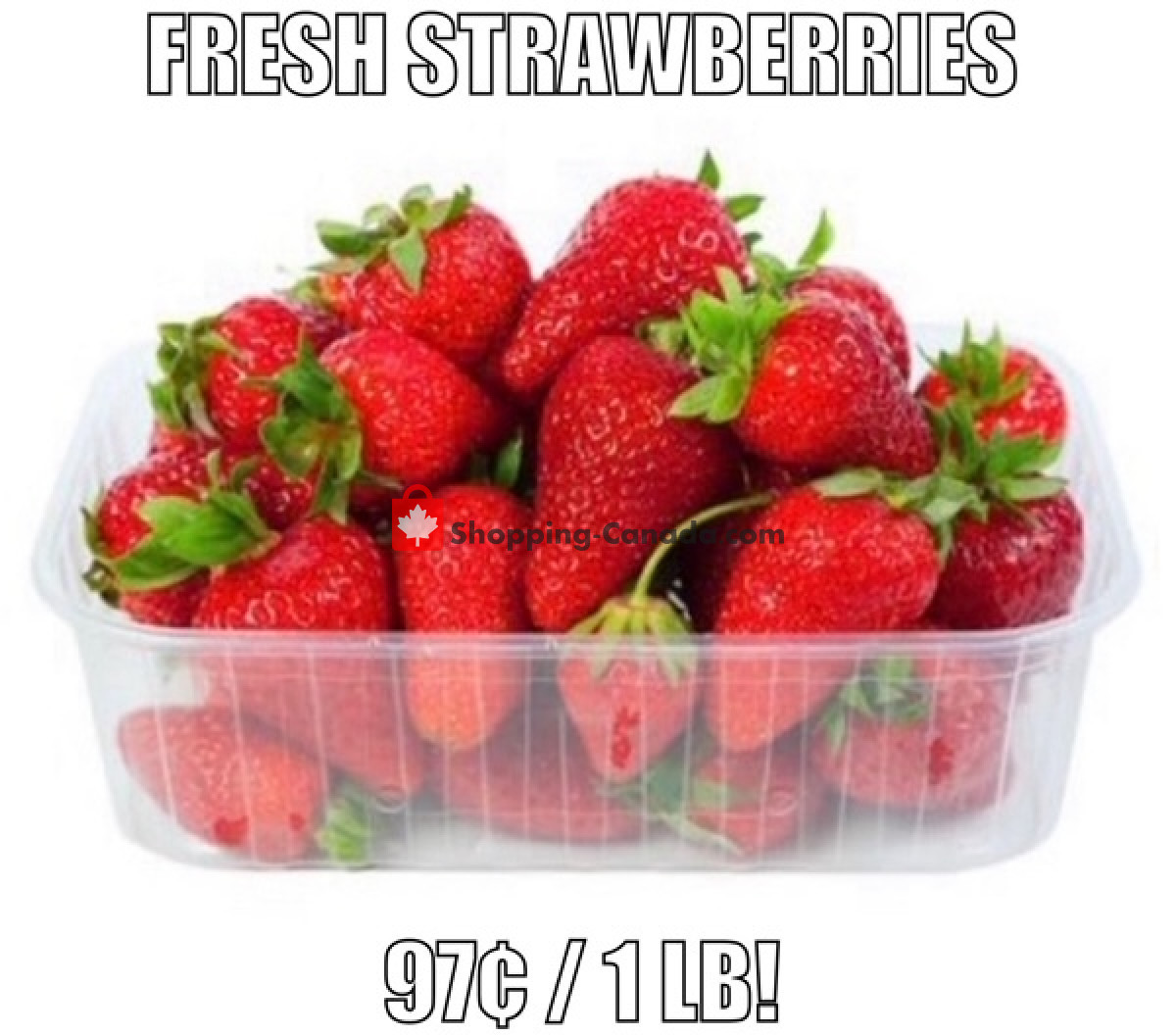 Gateway Meat Market flyer from Thursday March 14, 2024 to Wednesday March 20, 2024 - page 3