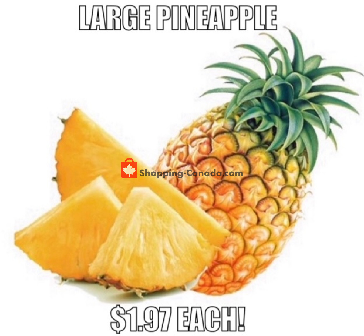 Gateway Meat Market flyer from Thursday March 7, 2024 to Wednesday March 13, 2024 - page 3