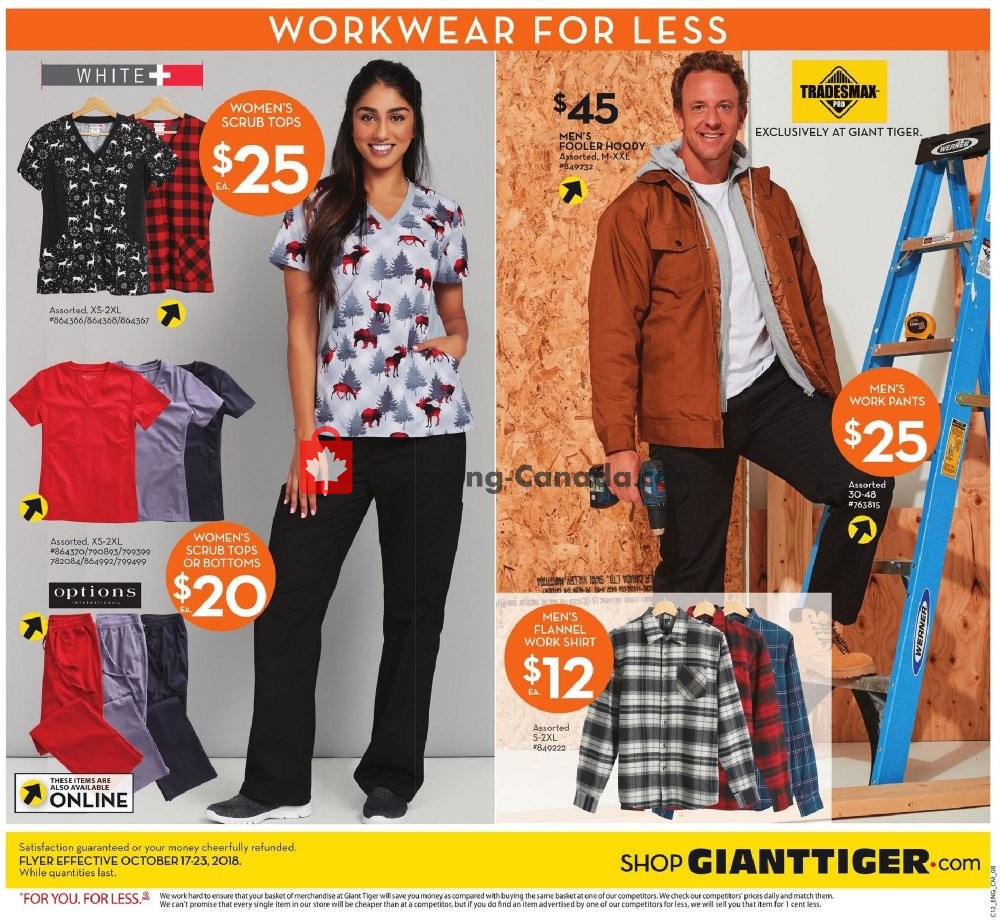 Giant Tiger flyer from Wednesday October 17, 2018 to Tuesday October 23, 2018 - page 12