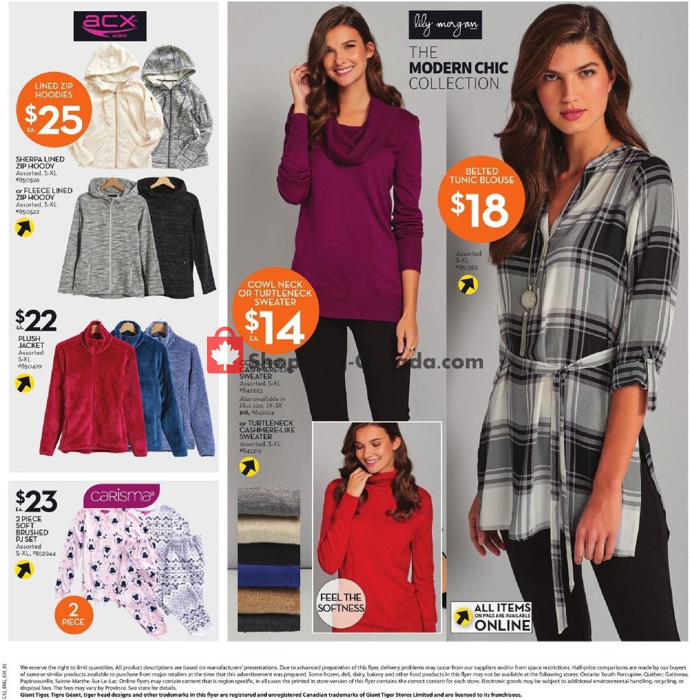 Giant Tiger flyer from Wednesday October 17, 2018 to Tuesday October 23, 2018 - page 9
