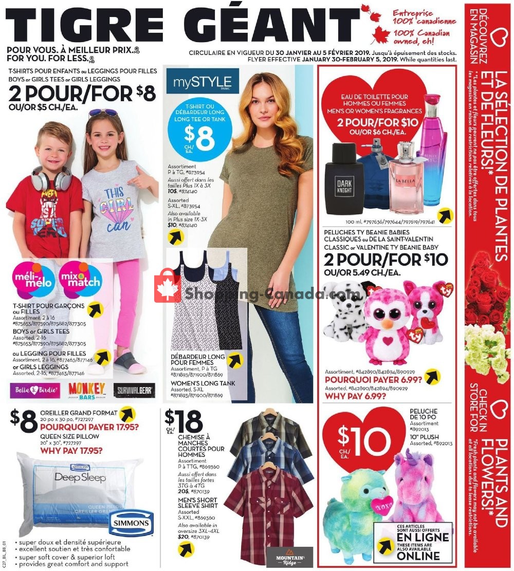 Giant Tiger flyer from Wednesday January 30, 2019 to Tuesday February 5, 2019 - page 4