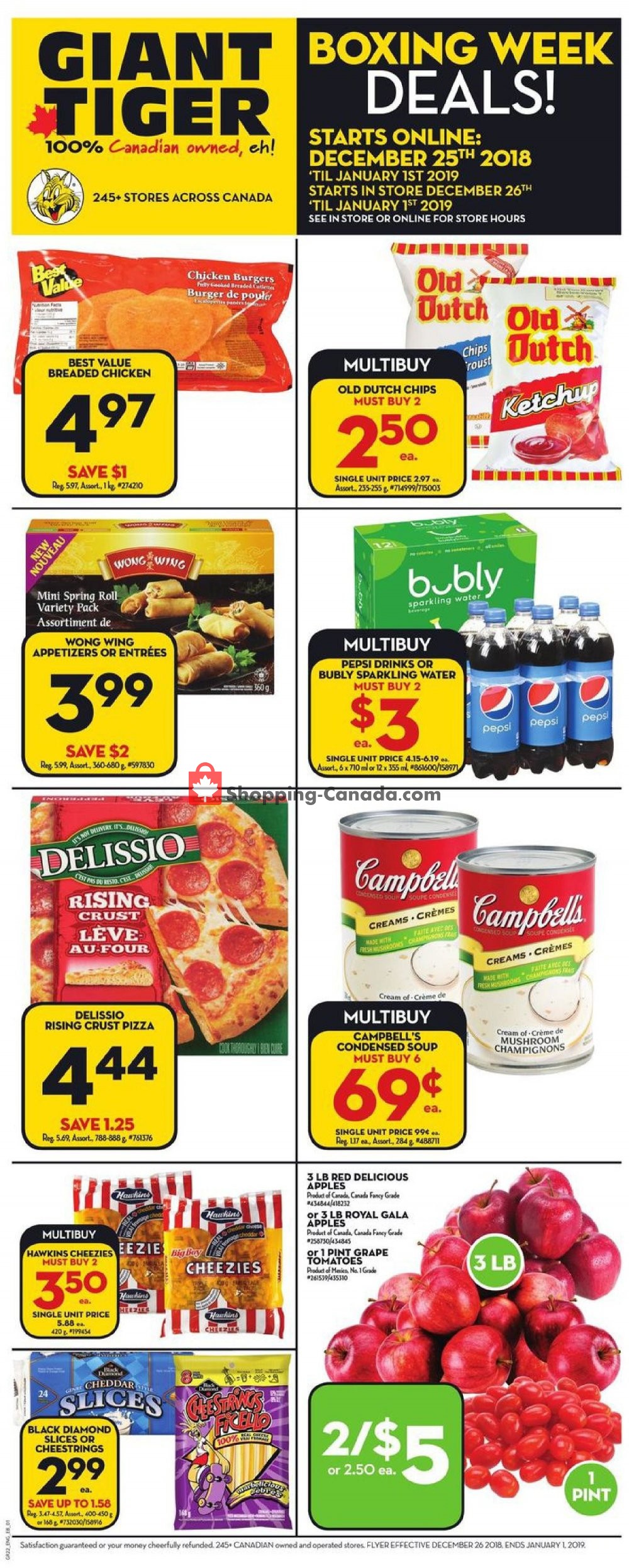 Giant Tiger flyer from Tuesday December 25, 2018 to Tuesday January 1, 2019 - page 3