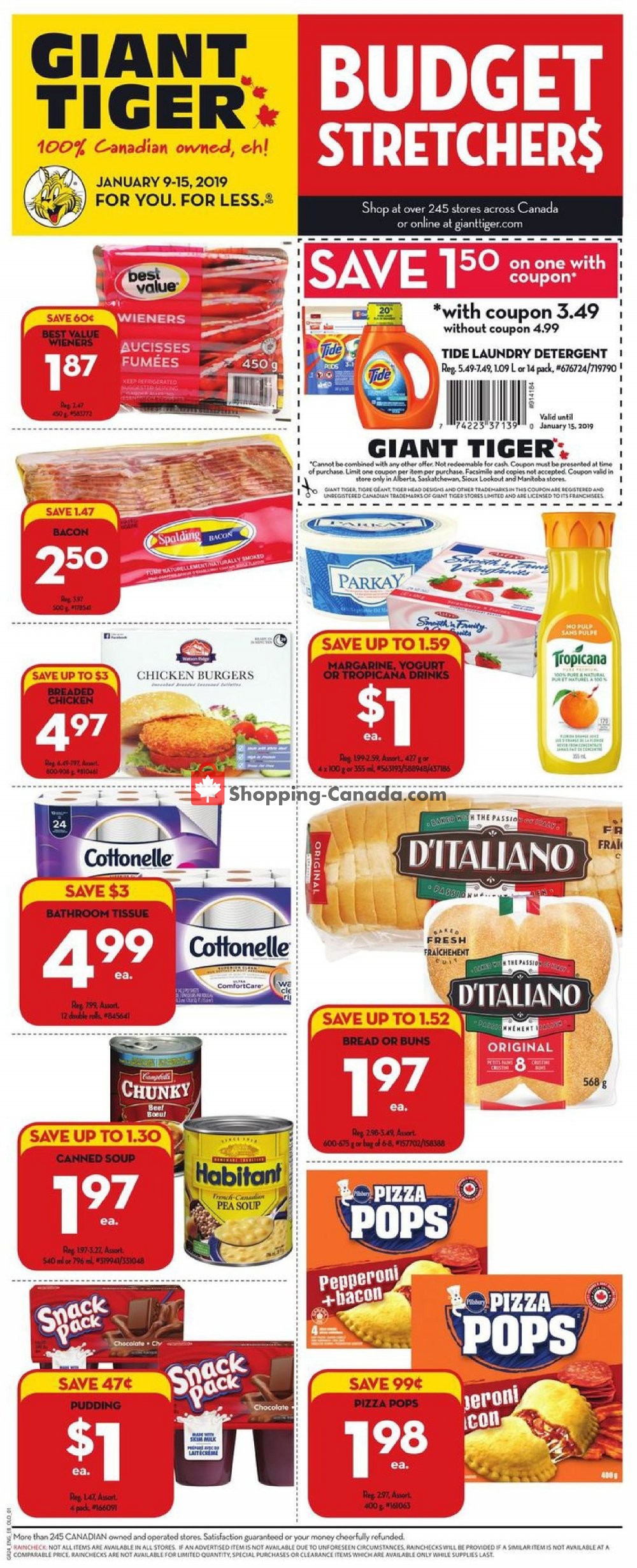 Giant Tiger flyer from Wednesday January 9, 2019 to Tuesday January 15, 2019 - page 2