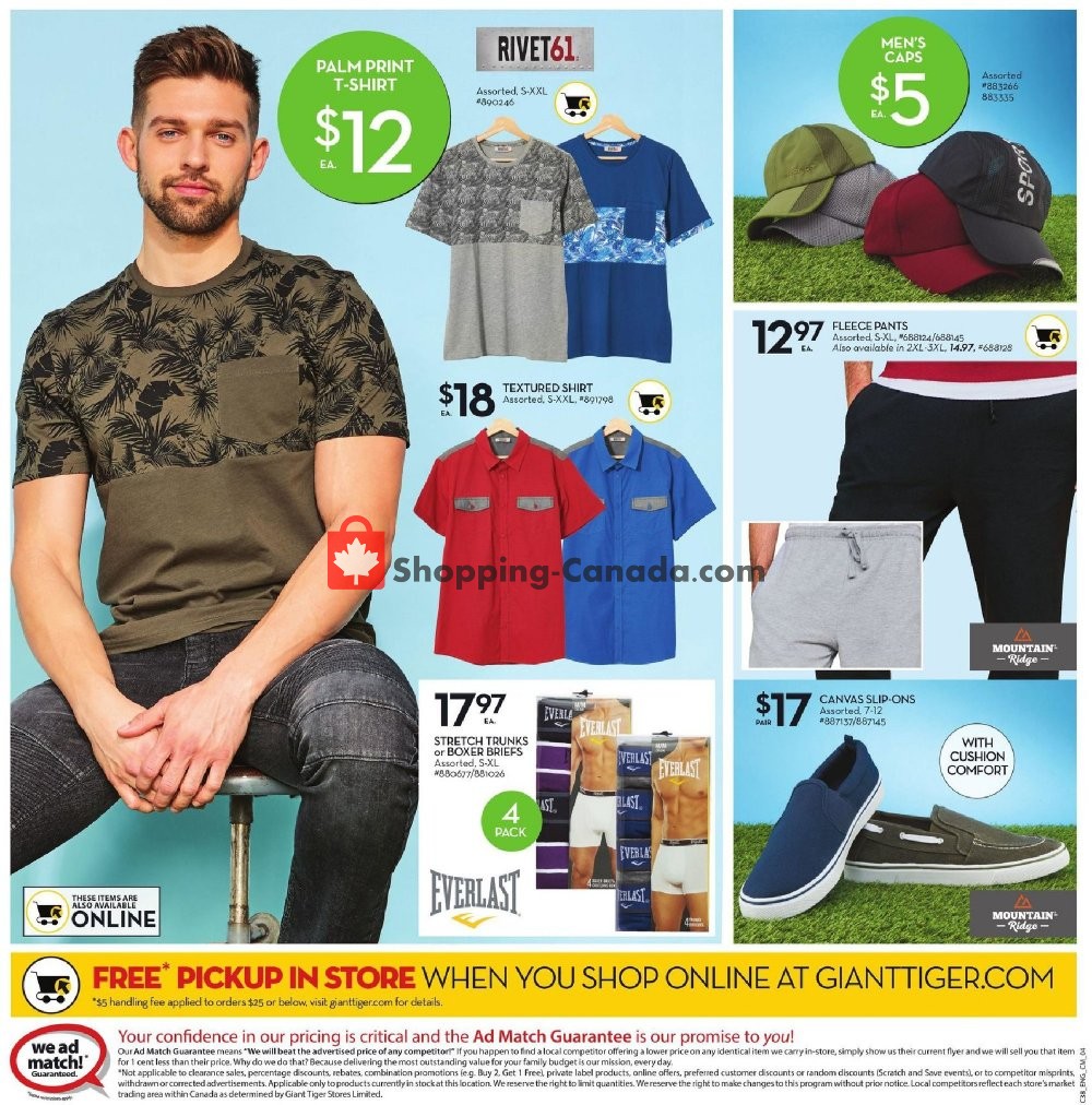Giant Tiger flyer from Wednesday April 17, 2019 to Tuesday April 23, 2019 - page 9