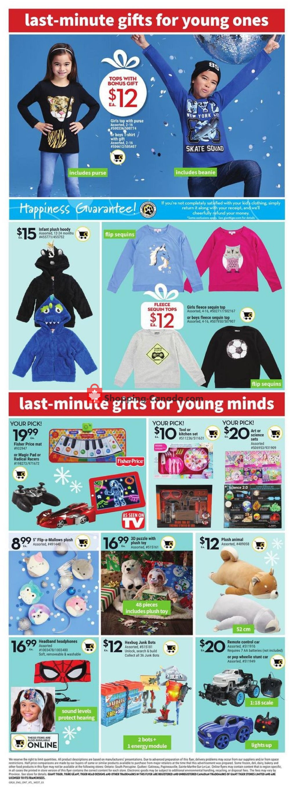Giant Tiger flyer from Wednesday December 16, 2020 to Tuesday December 22, 2020 - page 9