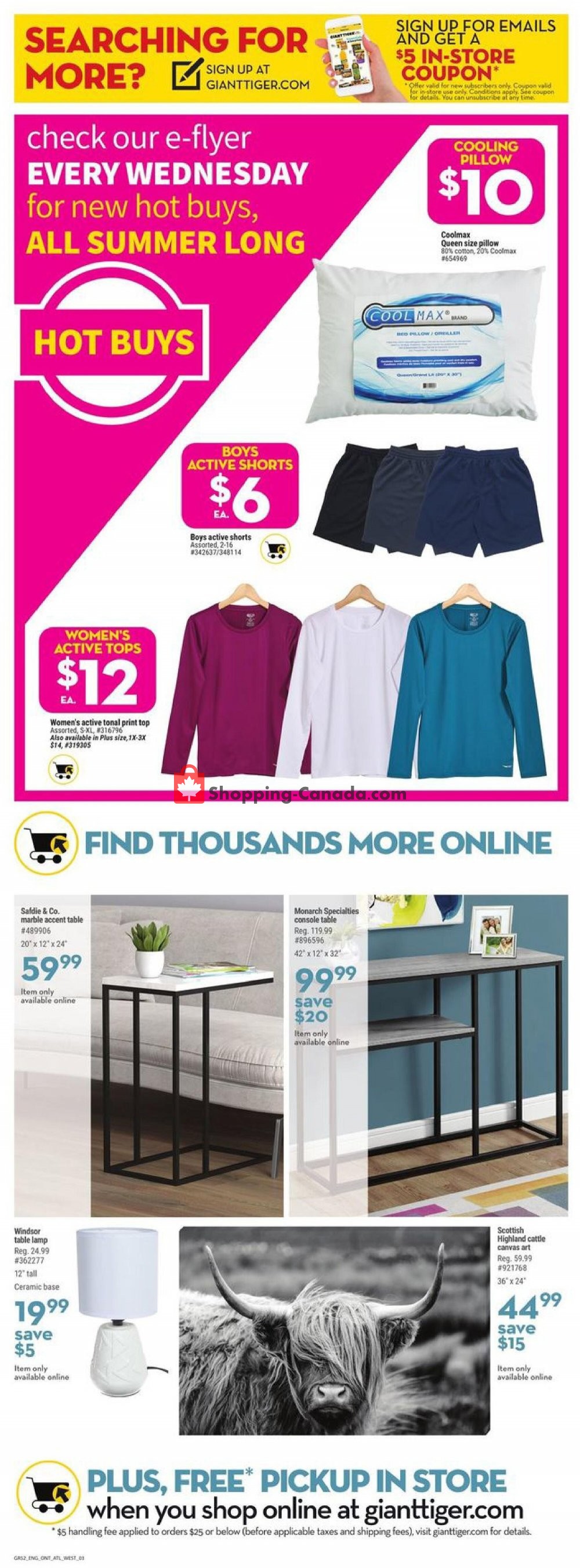 Giant Tiger flyer from Wednesday July 29, 2020 to Tuesday August 4, 2020 - page 3