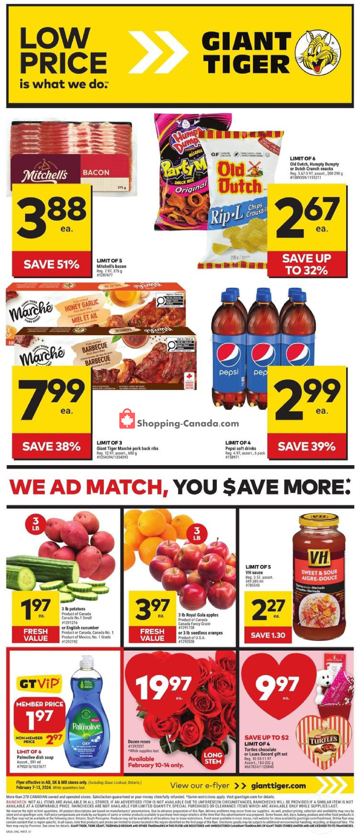 Giant Tiger flyer from Wednesday February 7, 2024 to Tuesday February 13, 2024 - page 1