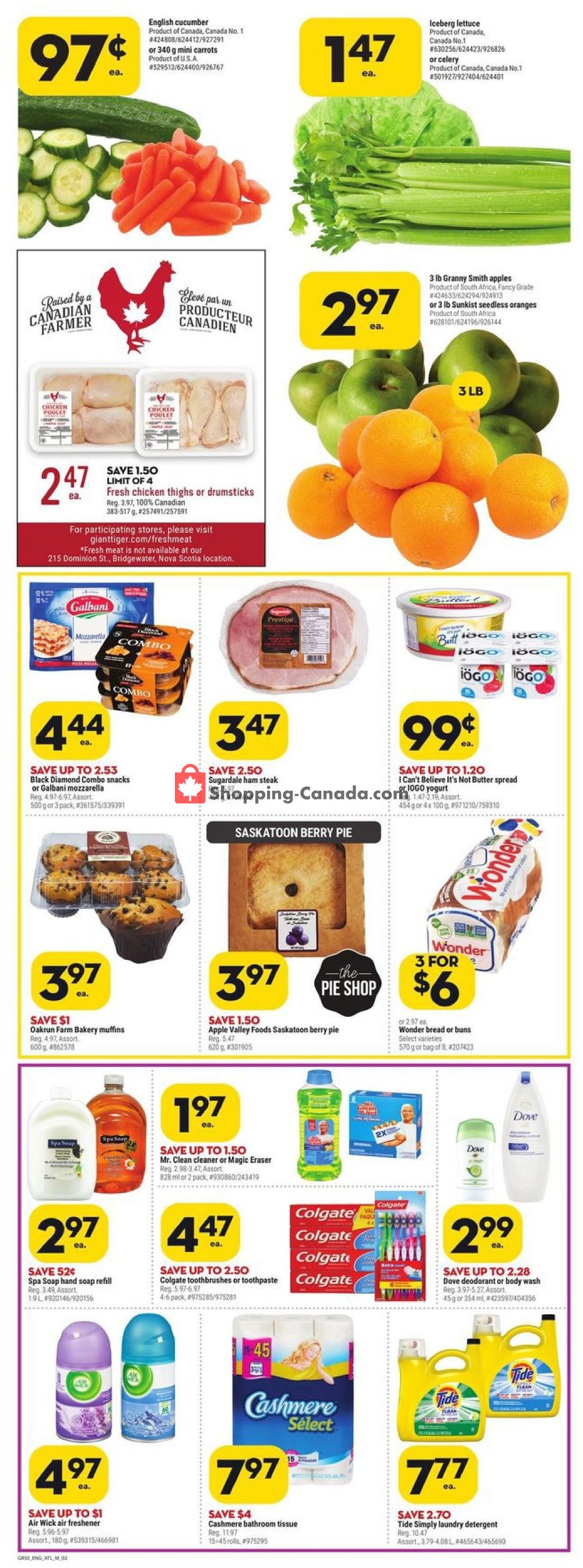 Giant Tiger flyer from Wednesday July 15, 2020 to Tuesday July 21, 2020 - page 2