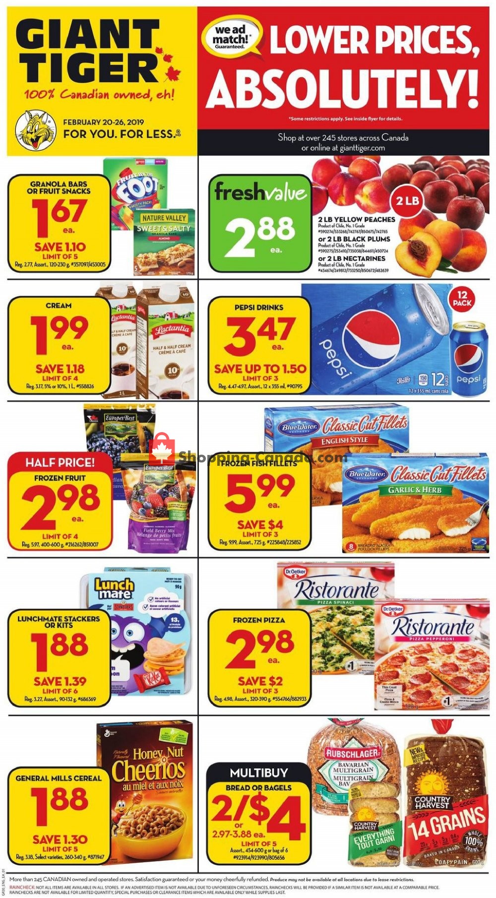 Giant Tiger flyer from Wednesday February 20, 2019 to Tuesday February 26, 2019 - page 1
