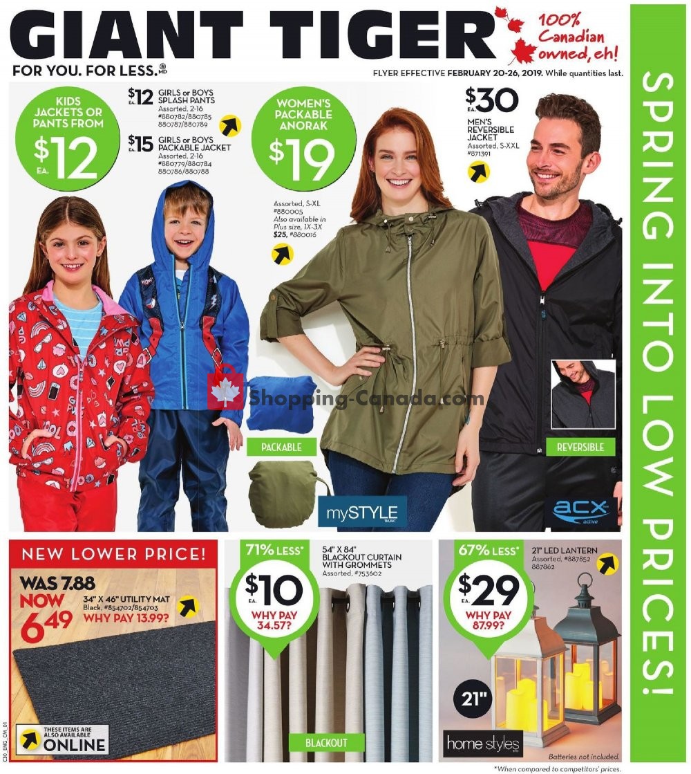 Giant Tiger flyer from Wednesday February 20, 2019 to Tuesday February 26, 2019 - page 4