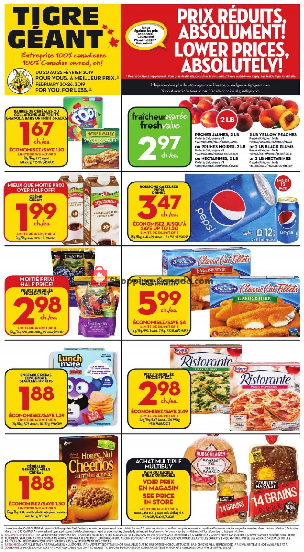 Giant Tiger flyer from Wednesday February 20, 2019 to Tuesday February 26, 2019 - page 1