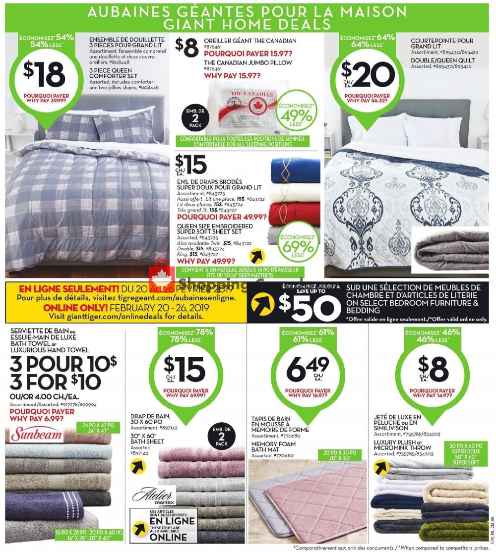 Giant Tiger flyer from Wednesday February 20, 2019 to Tuesday February 26, 2019 - page 9