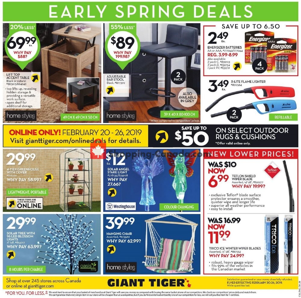 Giant Tiger flyer from Wednesday February 20, 2019 to Tuesday February 26, 2019 - page 11