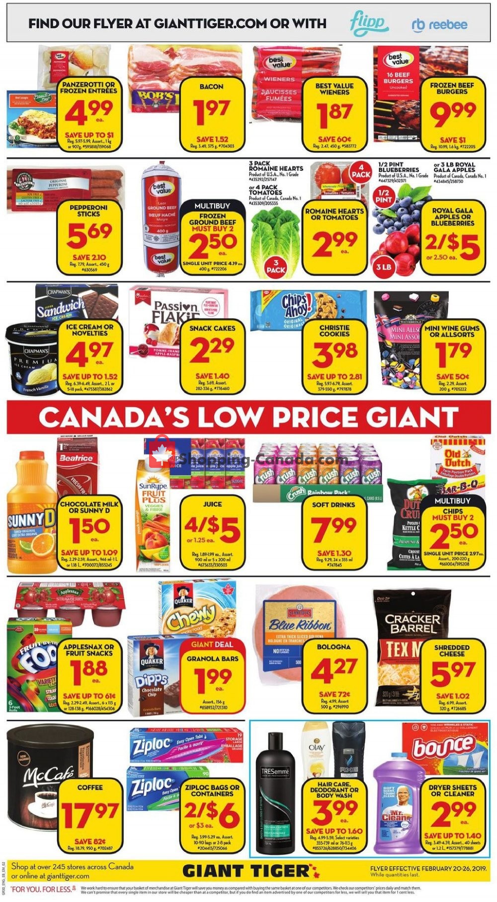 Giant Tiger flyer from Wednesday February 20, 2019 to Tuesday February 26, 2019 - page 2