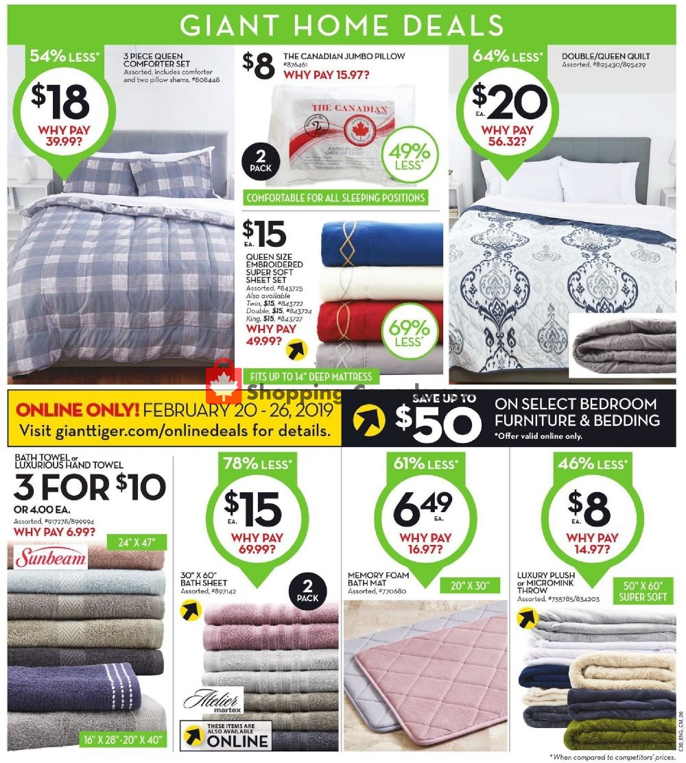 Giant Tiger flyer from Wednesday February 20, 2019 to Tuesday February 26, 2019 - page 9