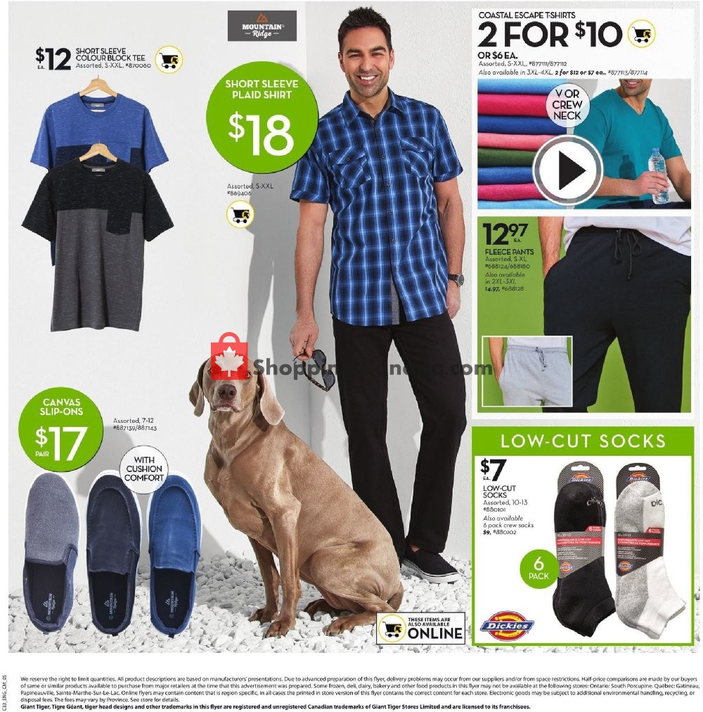 Giant Tiger flyer from Wednesday March 13, 2019 to Tuesday March 19, 2019 - page 11