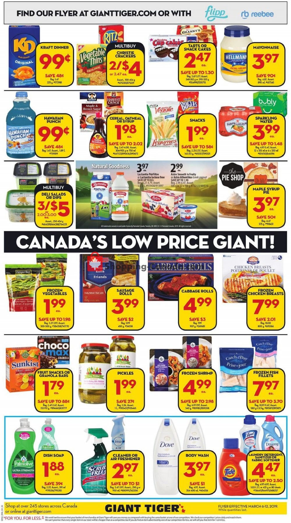 Giant Tiger flyer from Wednesday March 6, 2019 to Tuesday March 12, 2019 - page 2