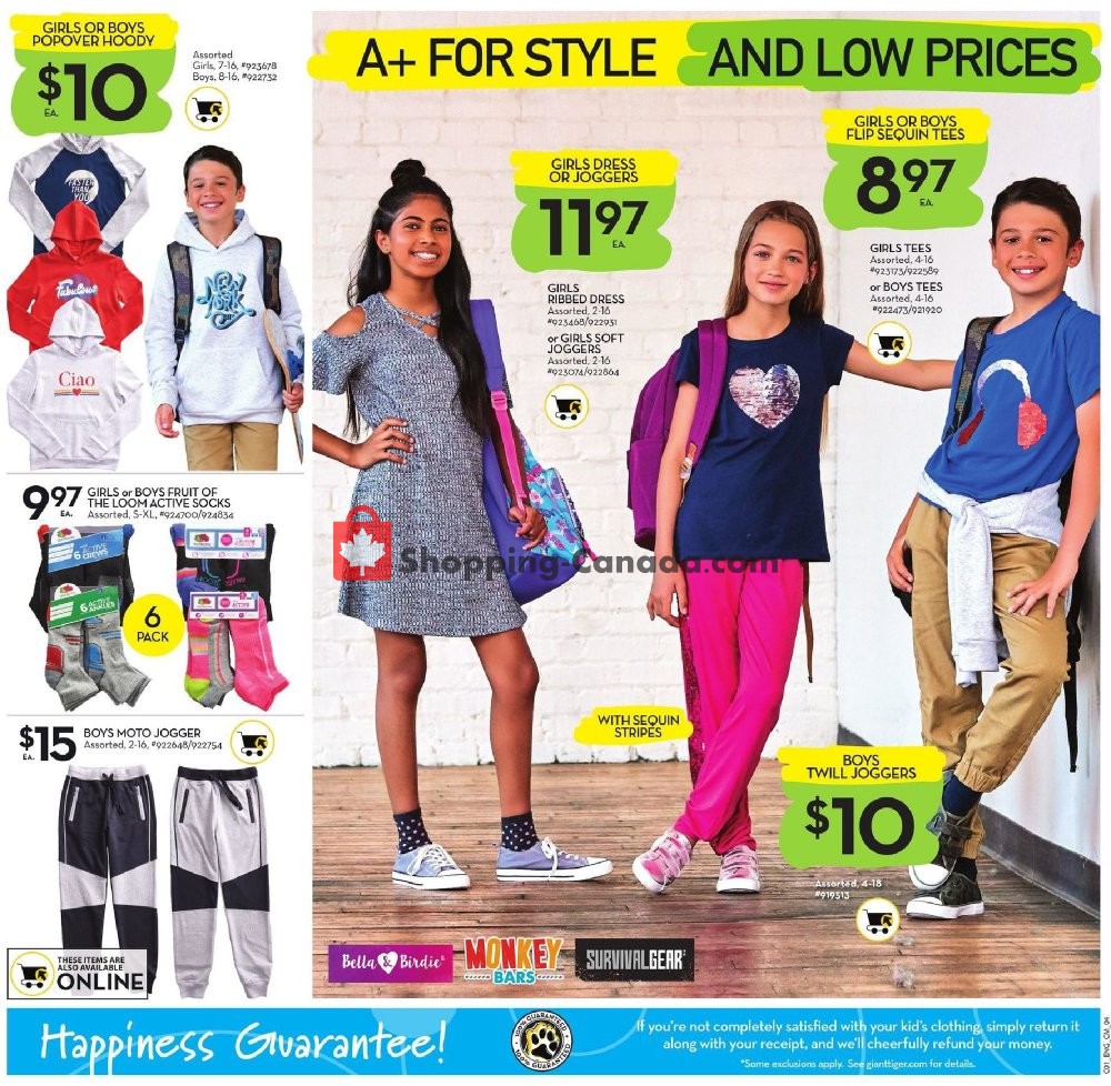 Giant Tiger flyer from Wednesday August 7, 2019 to Tuesday August 13, 2019 - page 9