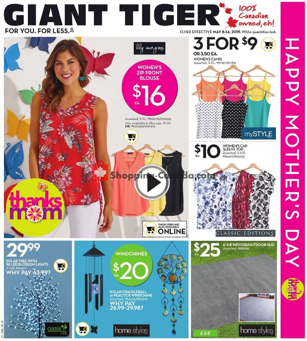 Giant Tiger flyer from Wednesday May 8, 2019 to Tuesday May 14, 2019 - page 4