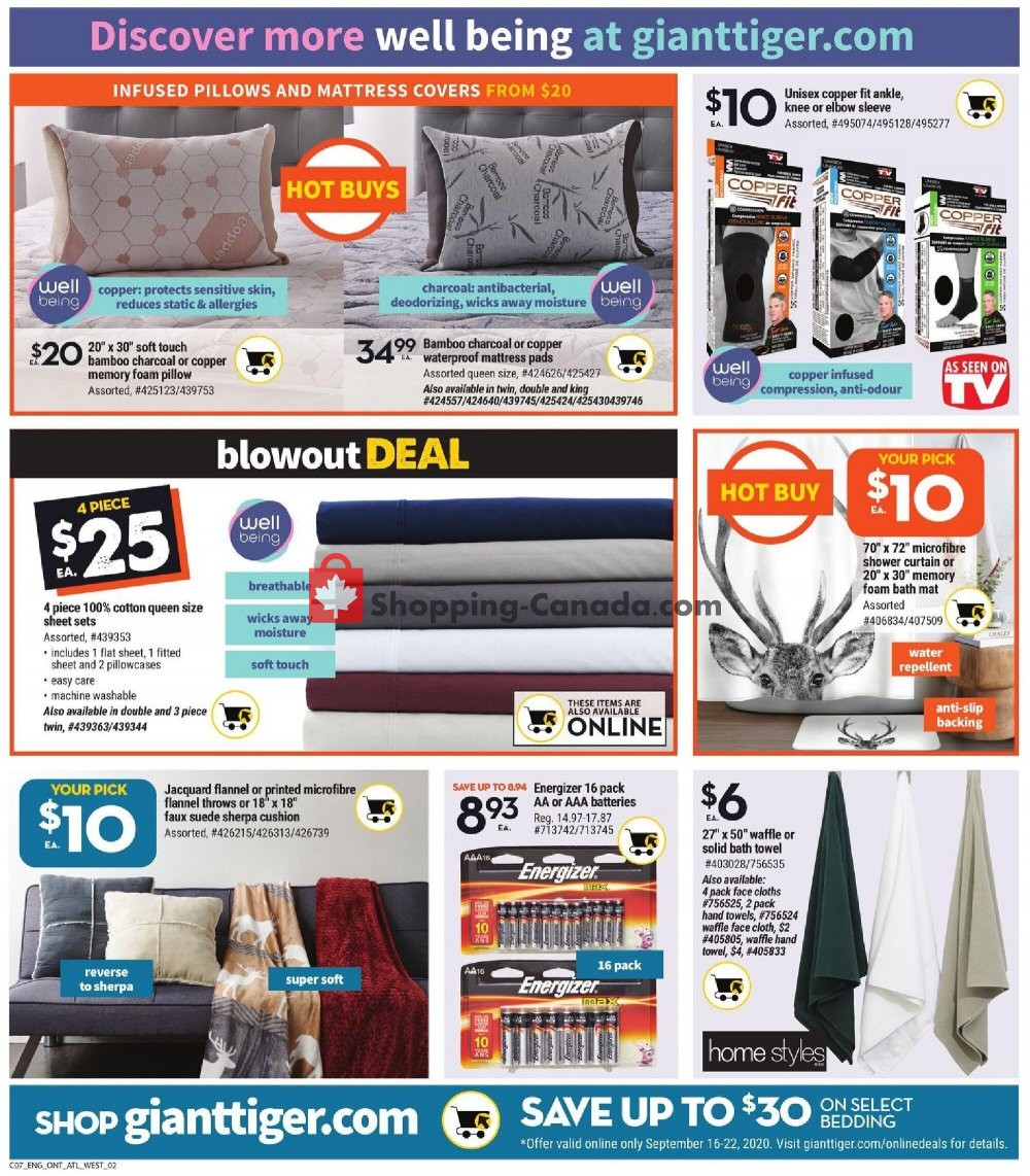 Giant Tiger flyer from Wednesday September 16, 2020 to Tuesday September 22, 2020 - page 5