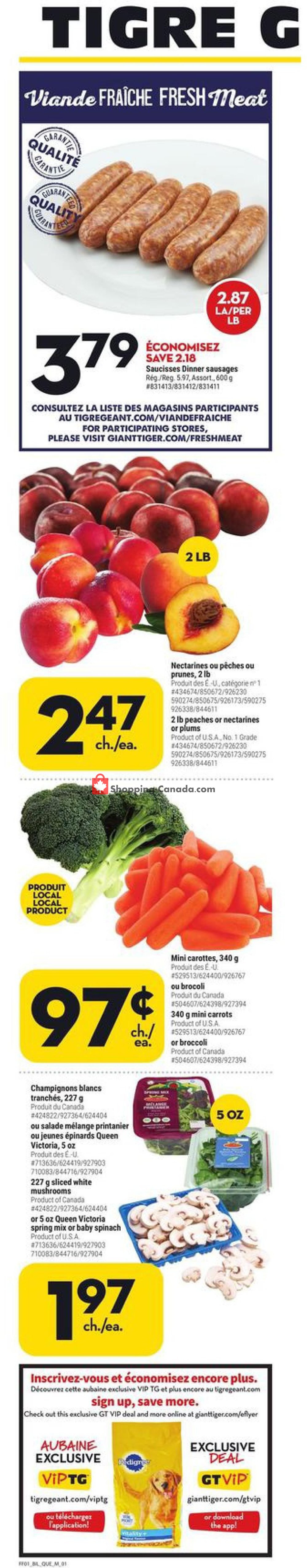 Giant Tiger flyer from Wednesday August 5, 2020 to Tuesday August 11, 2020 - page 3