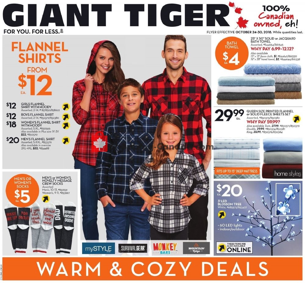 Giant Tiger flyer from Wednesday October 24, 2018 to Tuesday October 30, 2018 - page 5